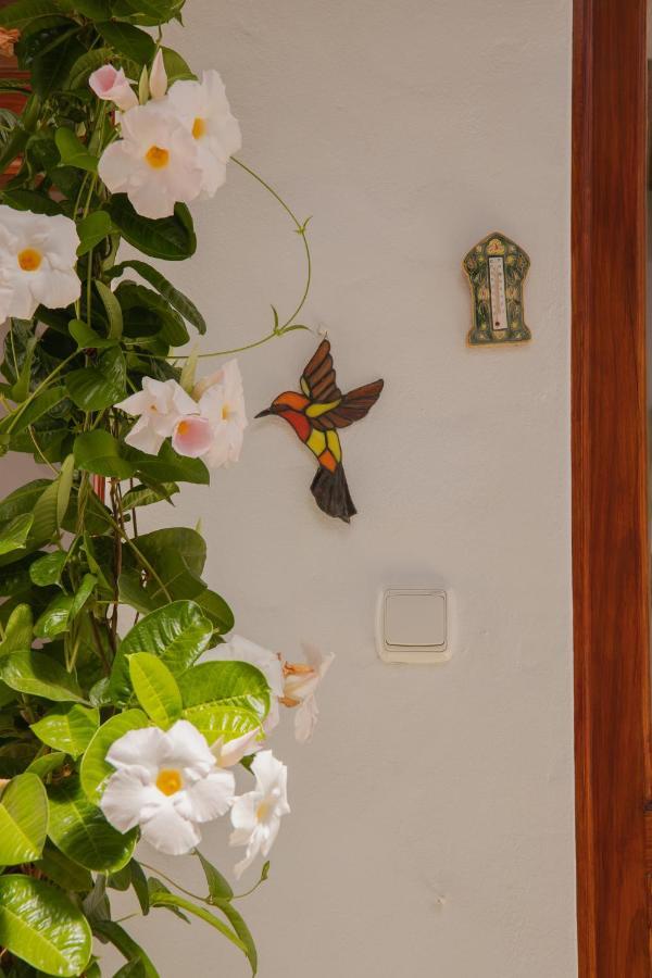 Casa Carmen Villa Haría Екстериор снимка